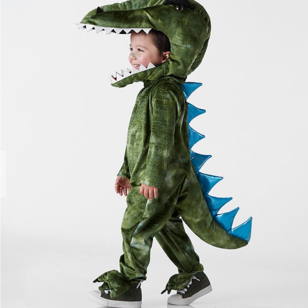 3T Pottery Barn Kids T -Rex Dinosaur Costume